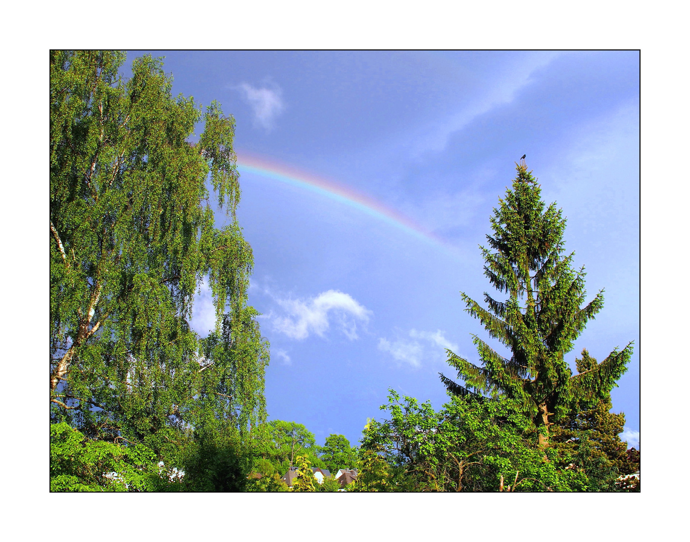 Regenbogenzeit