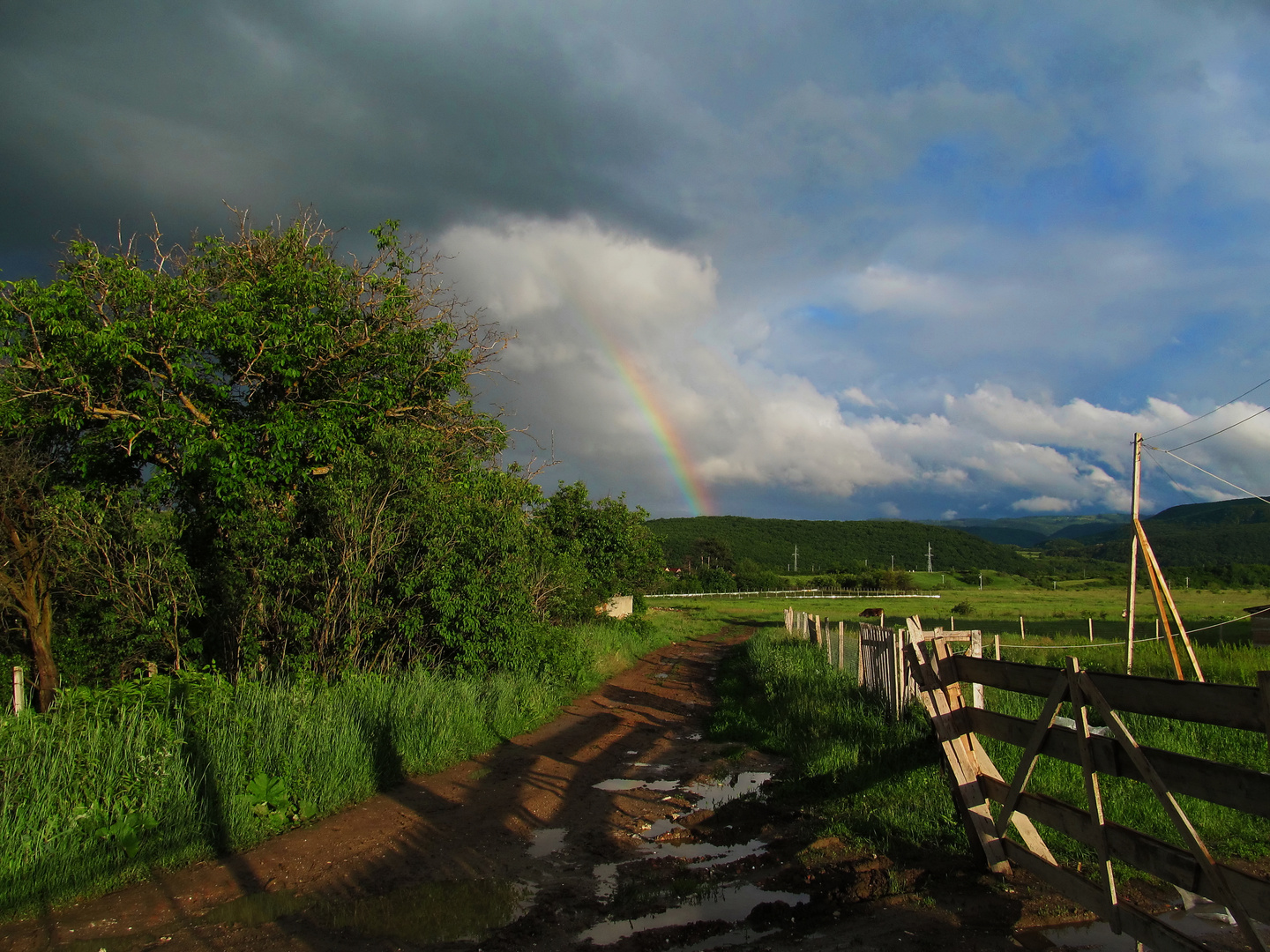 Regenbogenzeit in Grosspold (Apoldu de Sus)