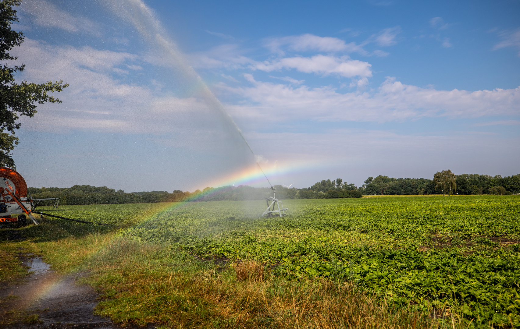 Regenbogie !!