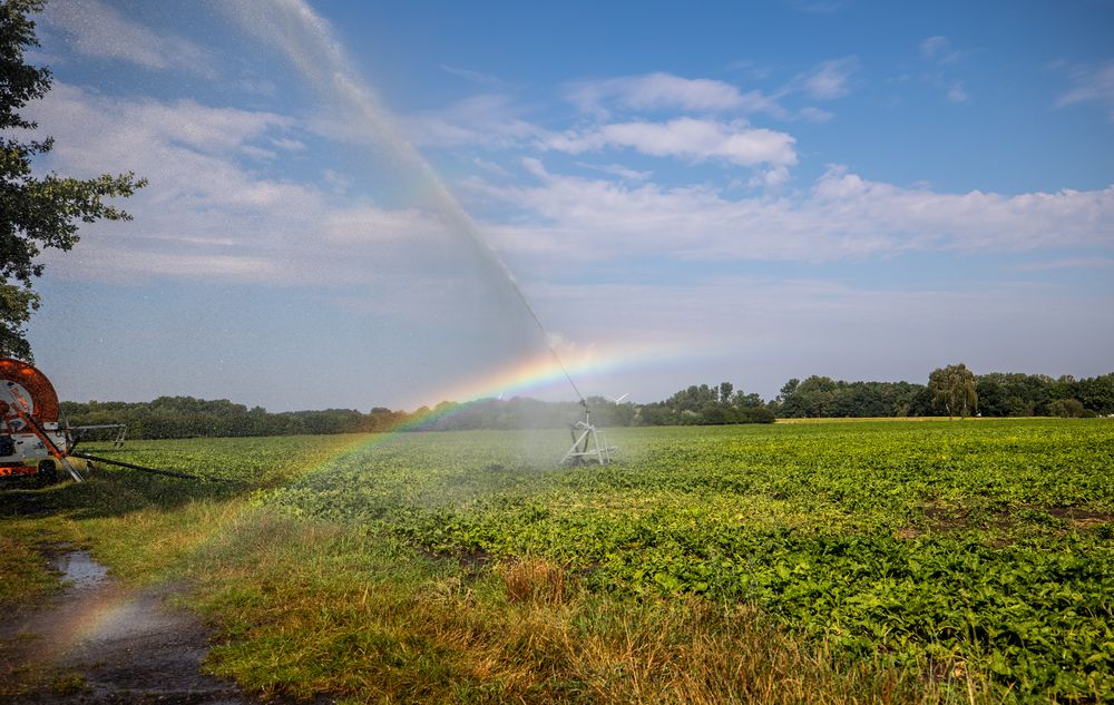 Regenbogie !!