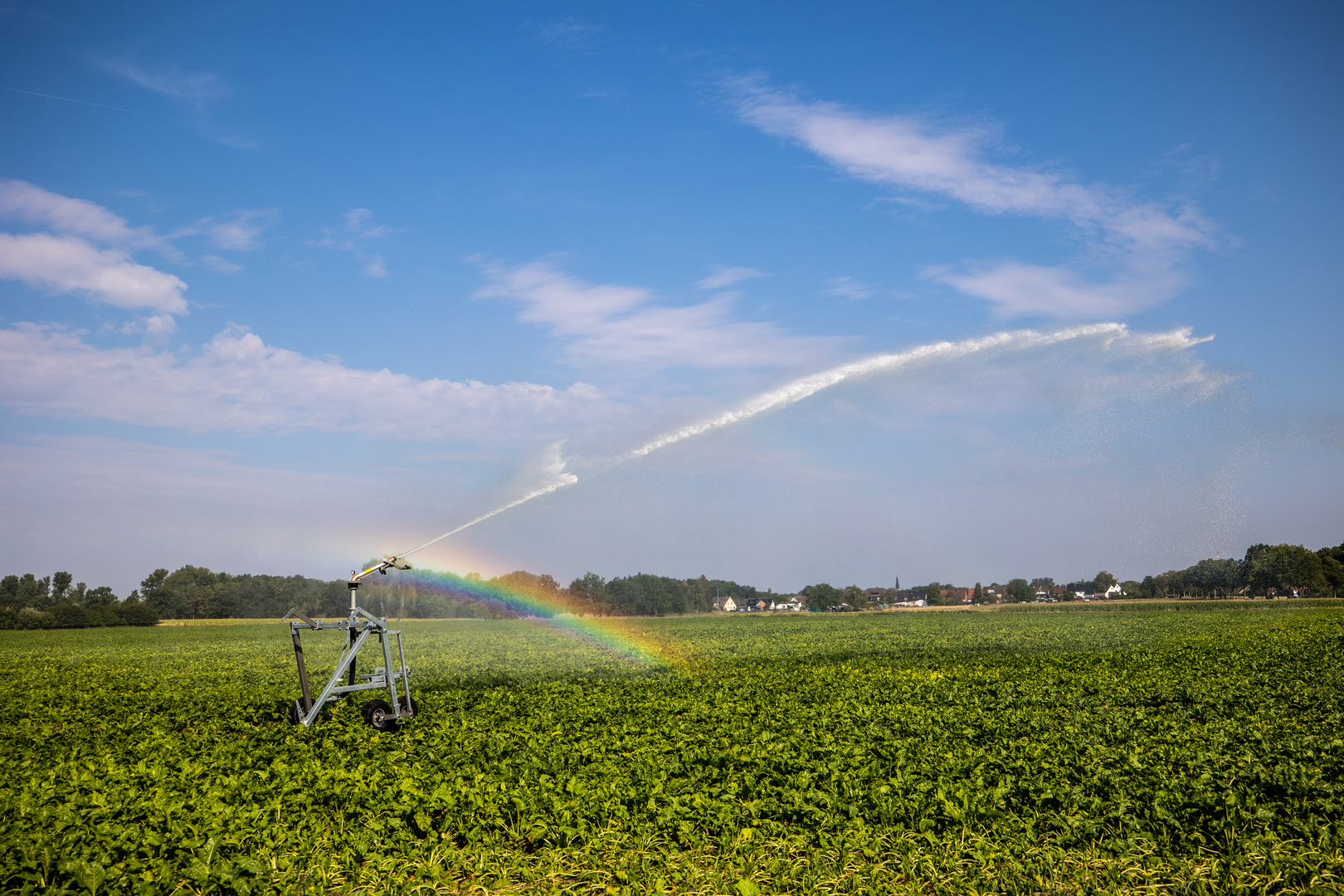 Regenbogie sprühen *