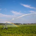 Regenbogie sprühen *