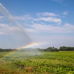 Regenbogie sprühen !!