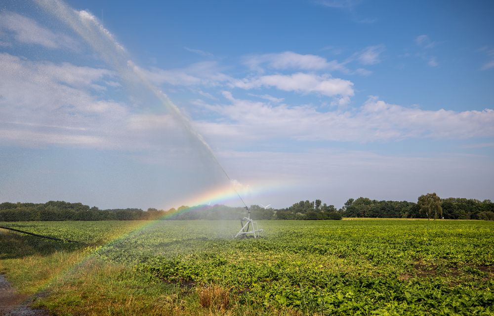 Regenbogie sprühen !!