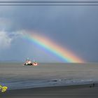 Regenboog