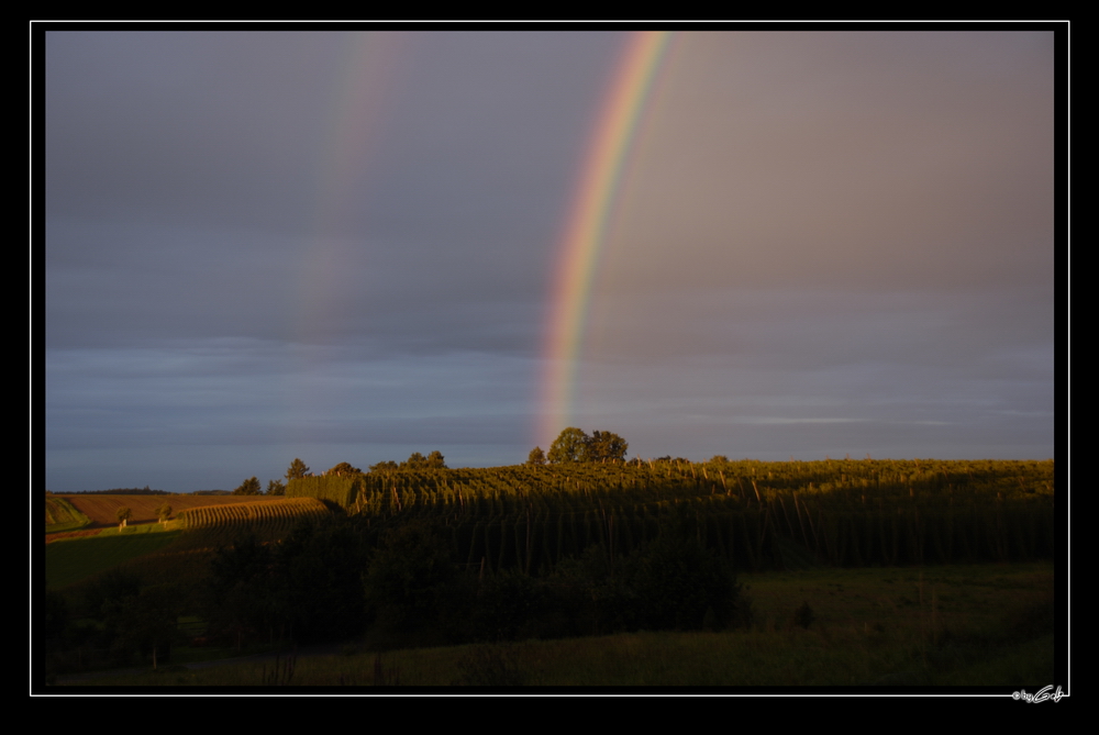 [ Regenbooogen II ]