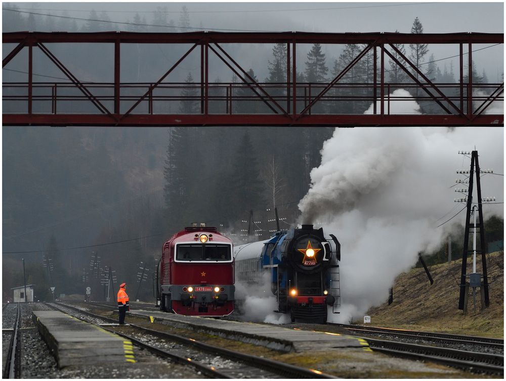 Regendampf in der Niederen Tatra