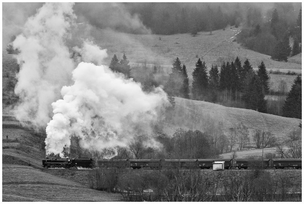 Regendampf in der Niederen Tatra XII