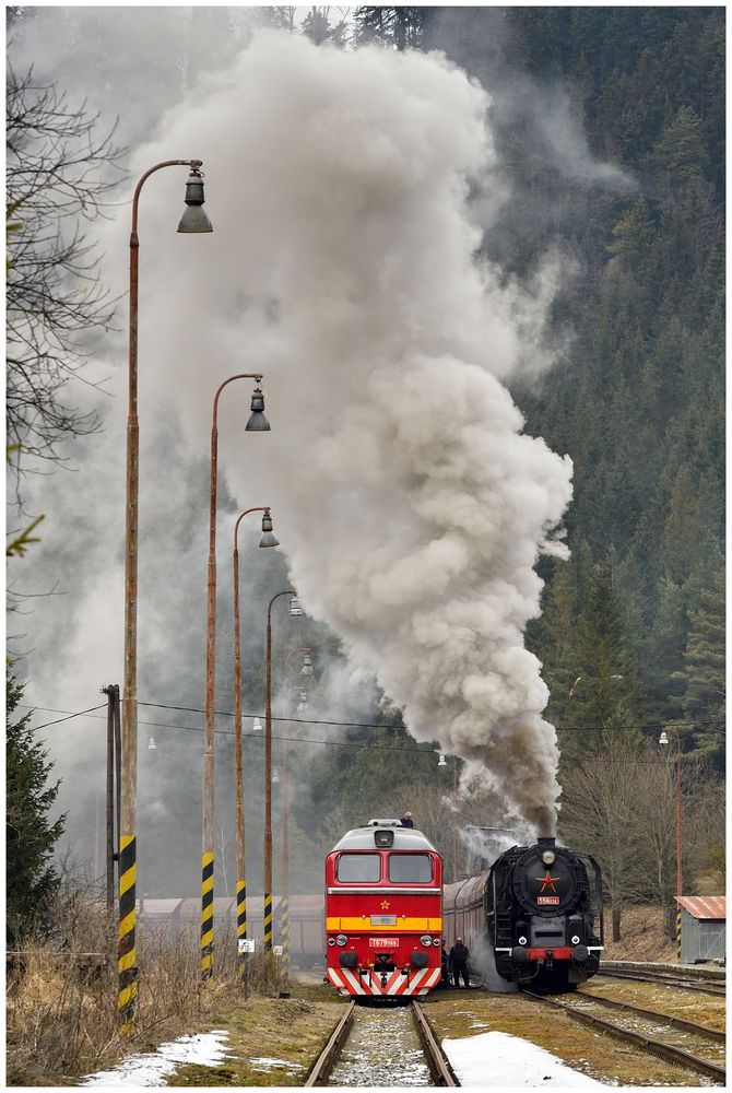 Regendampf in der Niederen Tatra XIII