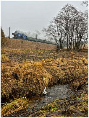 Regendampf in der Niederen Tatra XLIX