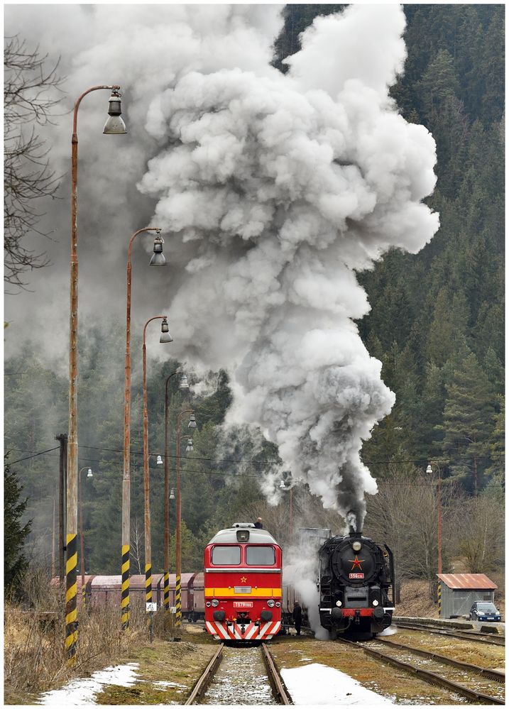 Regendampf in der Niederen Tatra XX