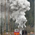 Regendampf in der Niederen Tatra XX