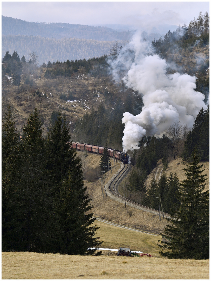 Regendampf in der Niederen Tatra XXI