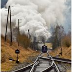 Regendampf in der Niederen Tatra XXVIII