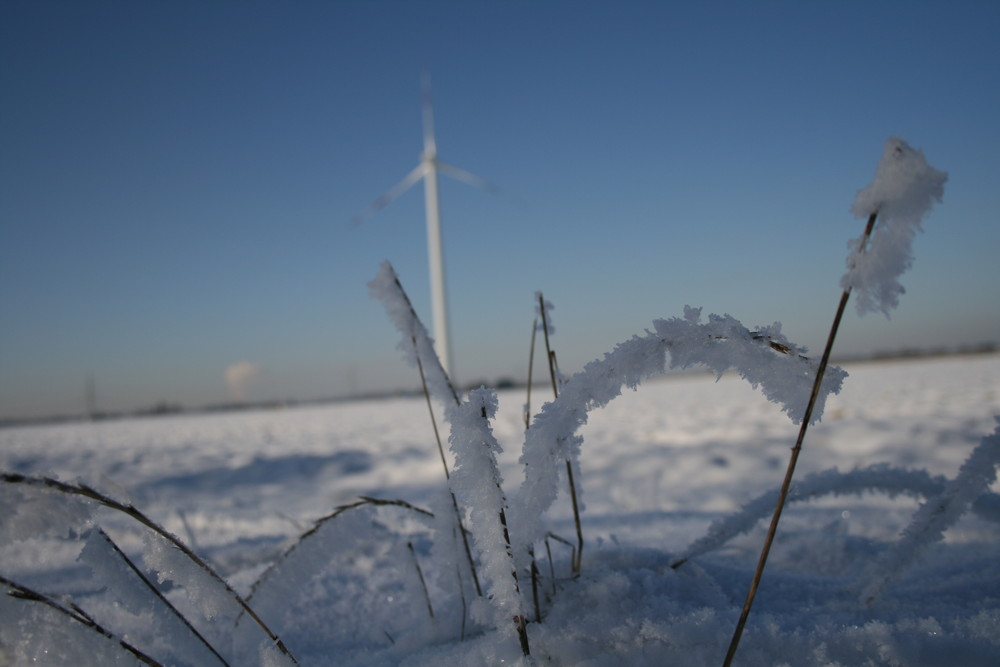 regenerativer Winterschlaf