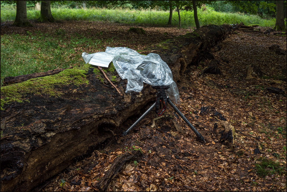 Regenfotografie