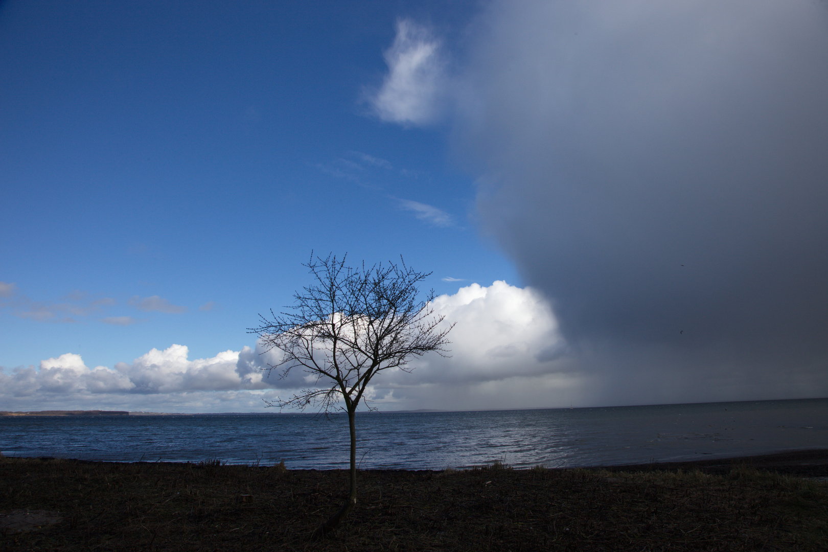 Regenfront