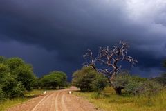 Regenfront