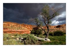 Regenfront