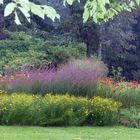 Regenguss im Großen Garten