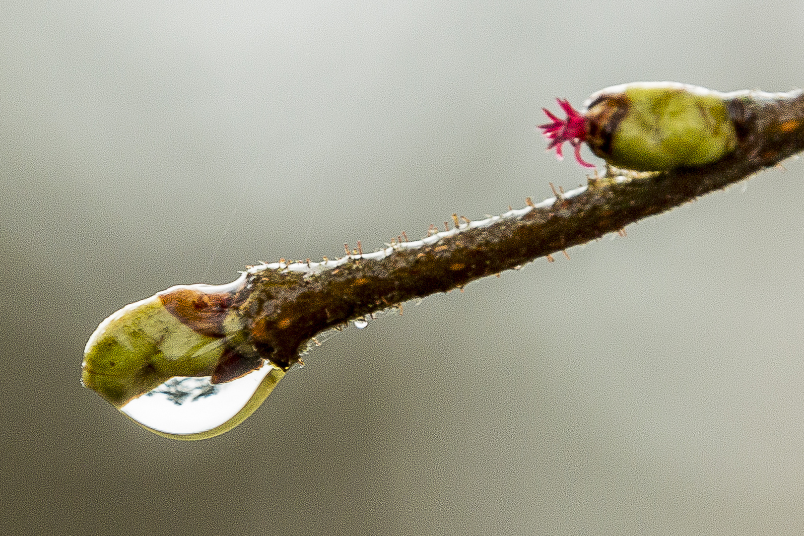 Regenimpressionen