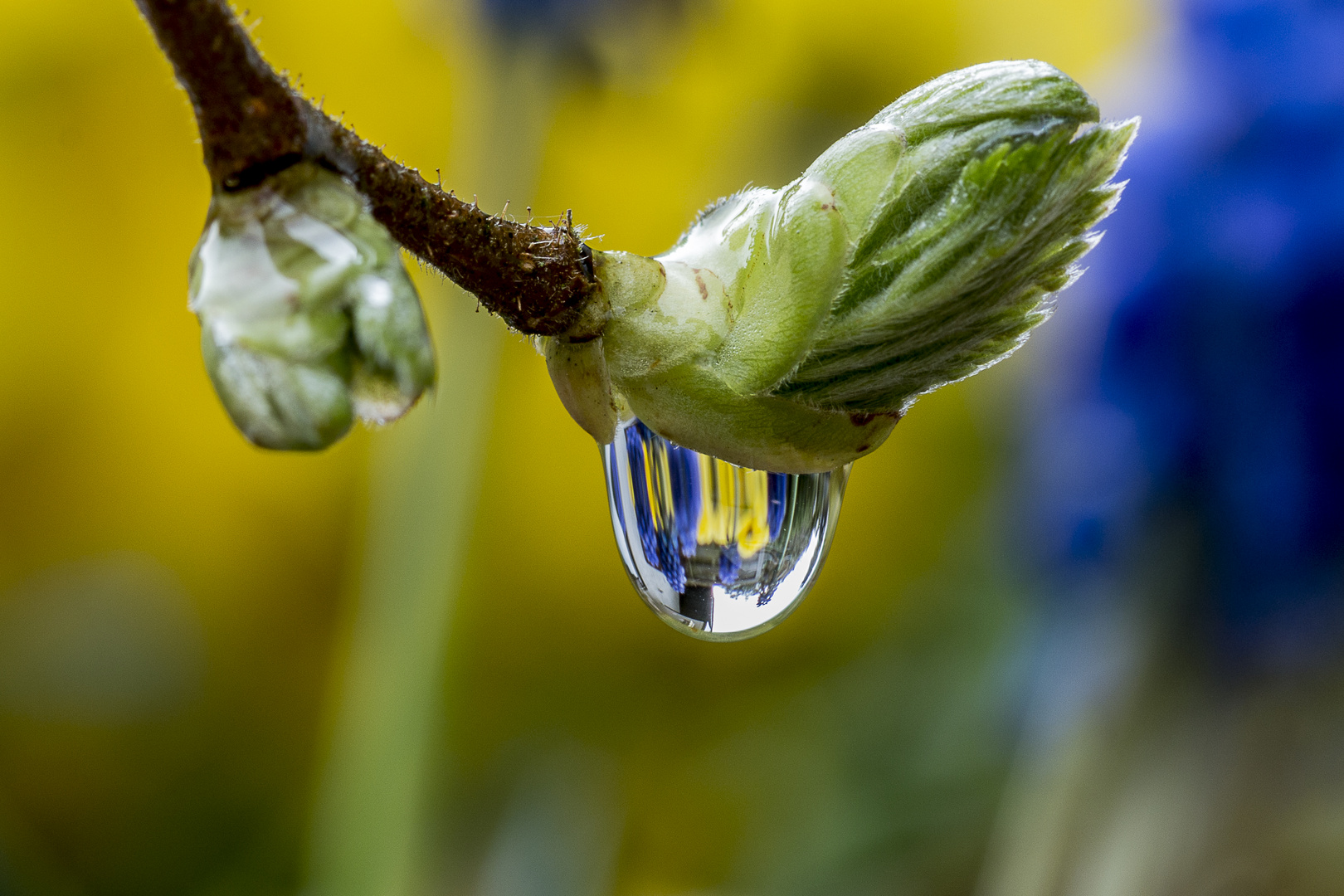 Regenimpressionen