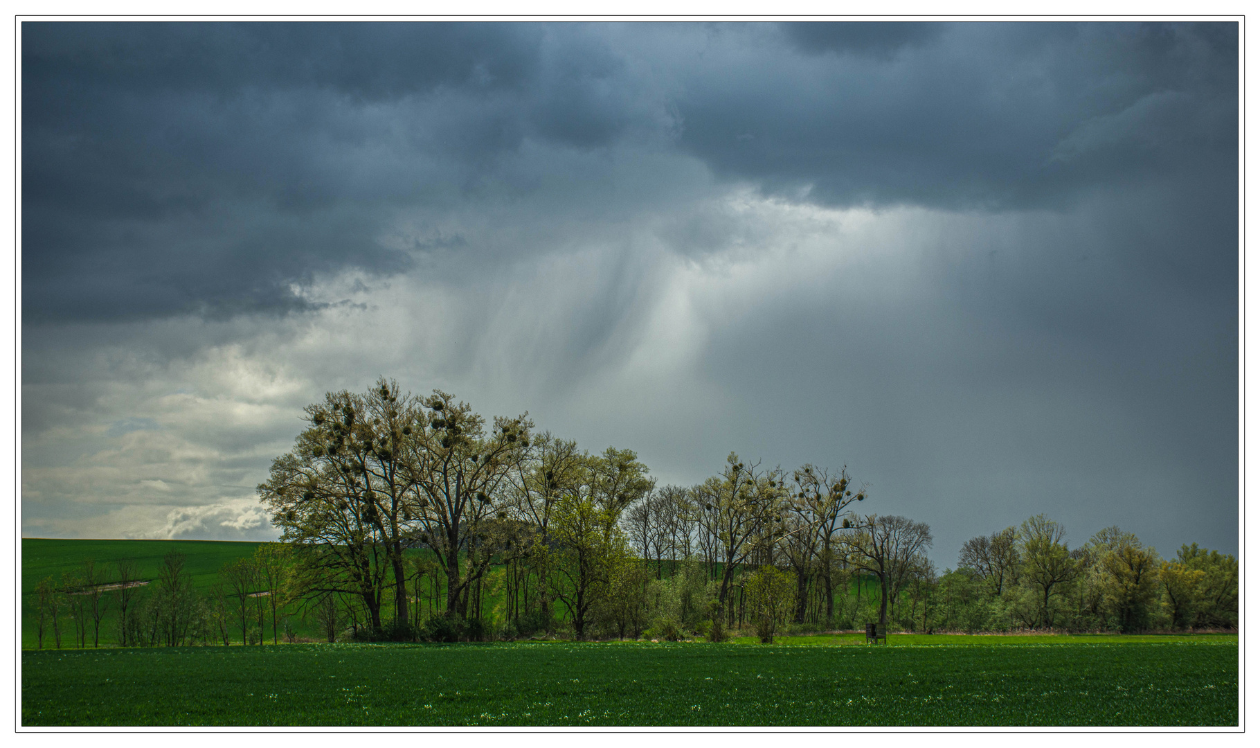 Regenlandschaft