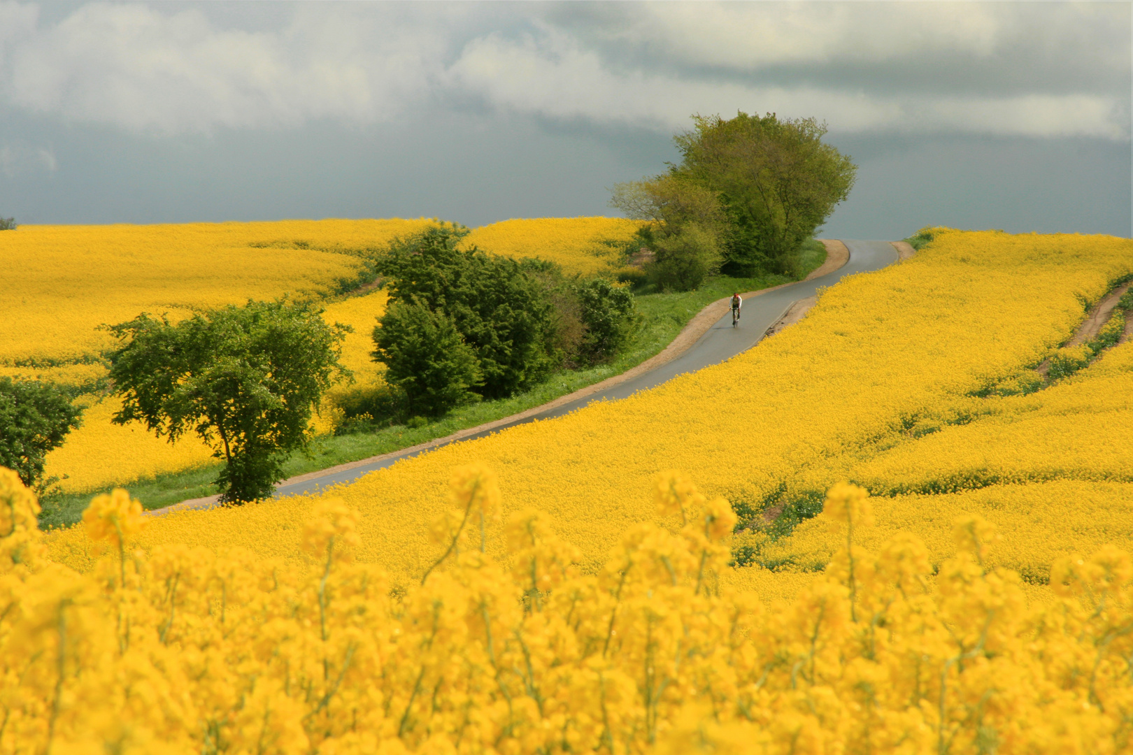 Regenlandschaft