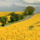 Regenlandschaft