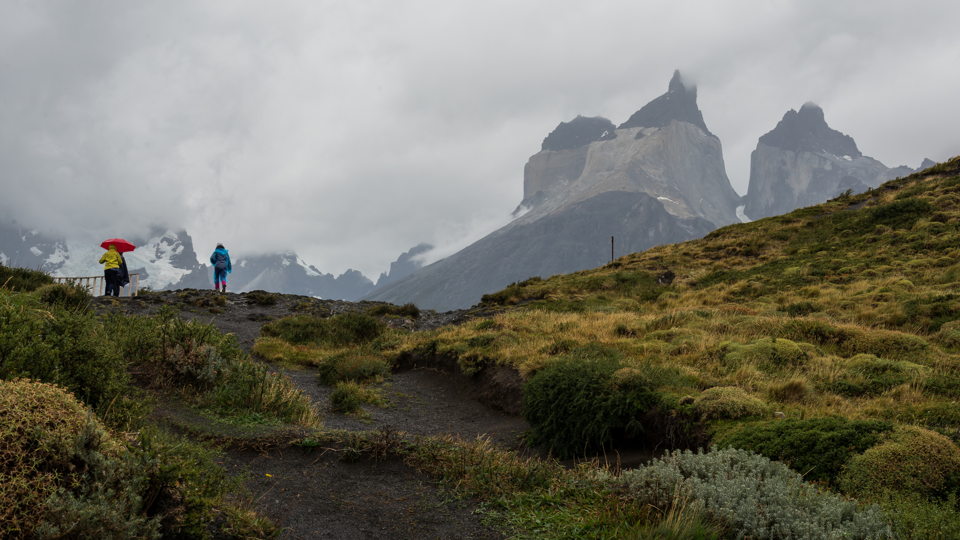 Regenlandschaft