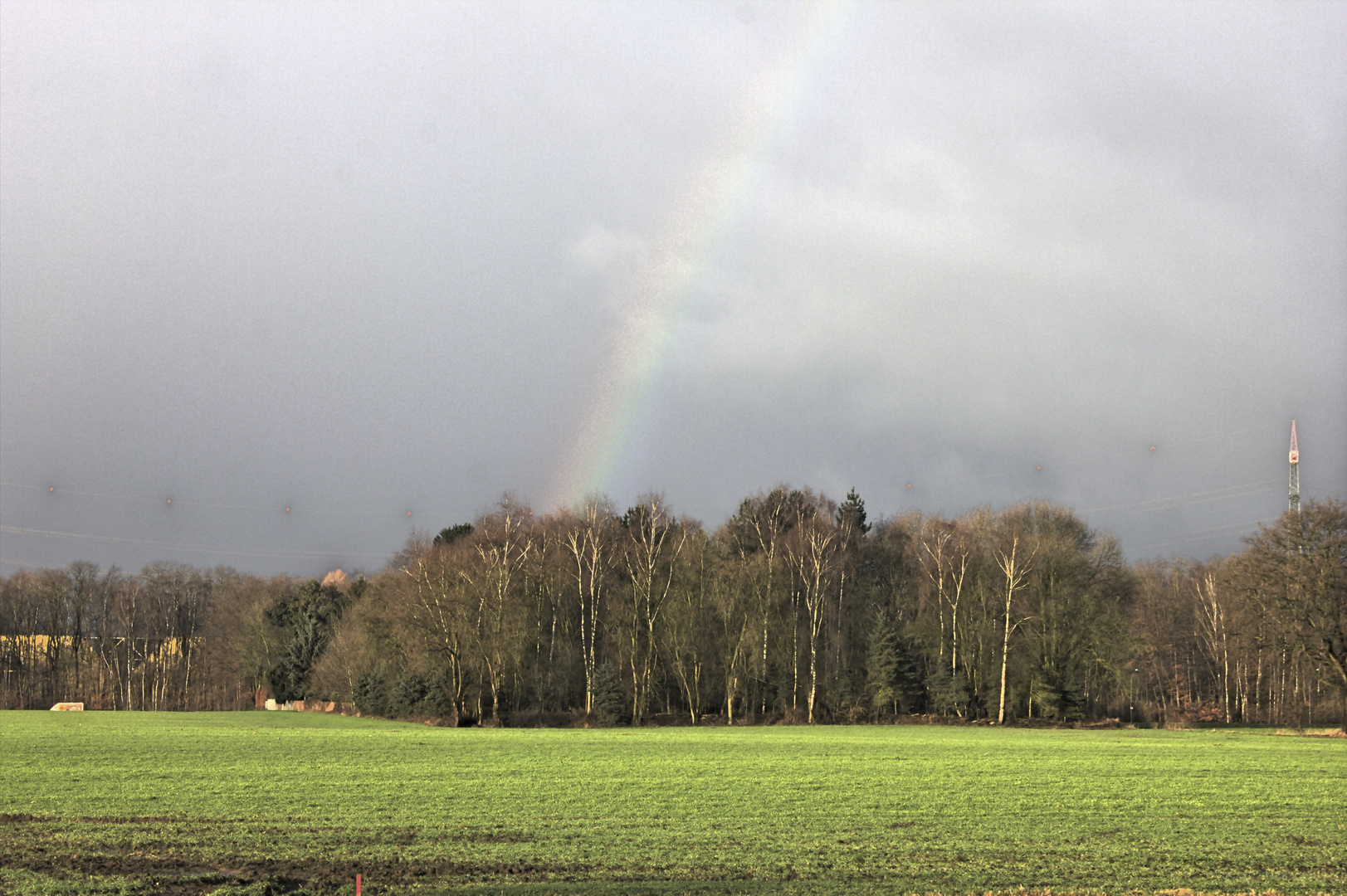 Regenmorgen