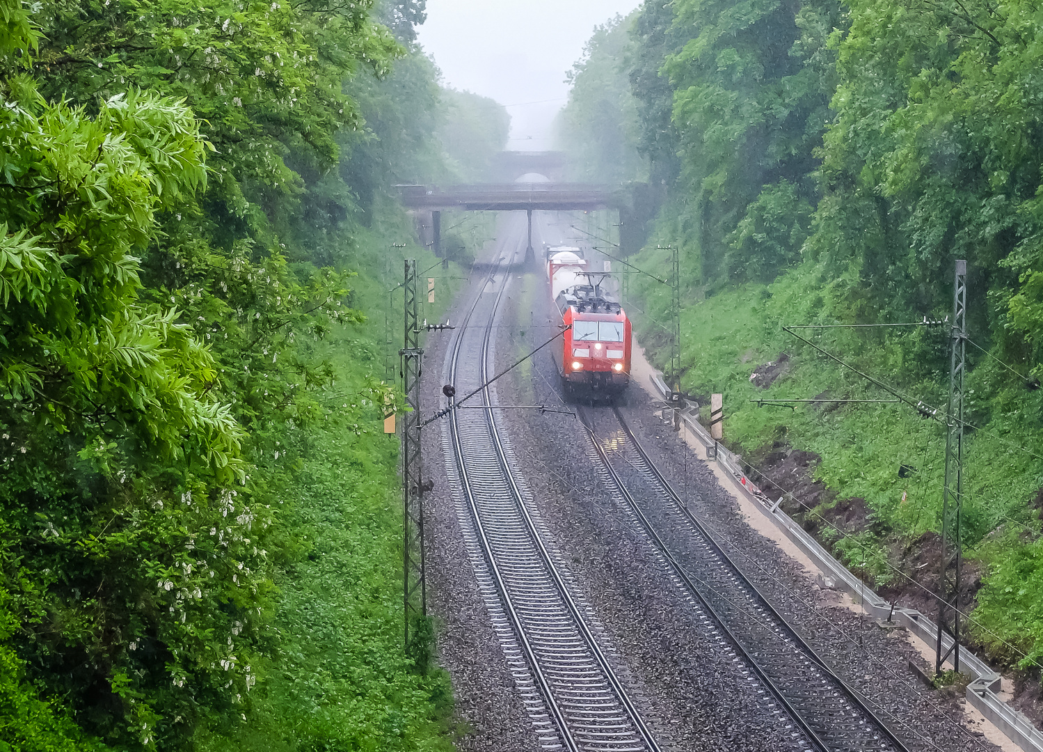 Regennässe