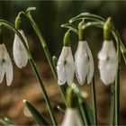 Regennaß