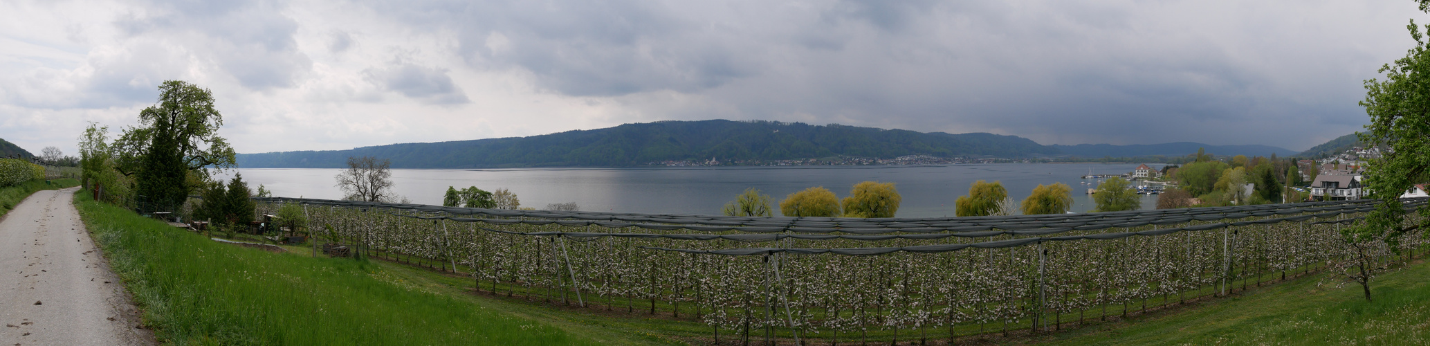 Regenpause am Bodensee 2.Mai