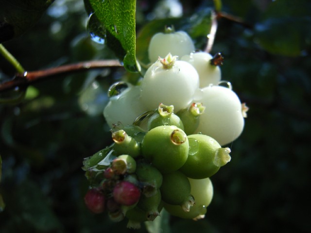 Regenpause im Spätsommer 2005-2