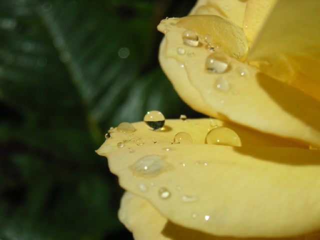 Regenpause im Spätsommer 2005