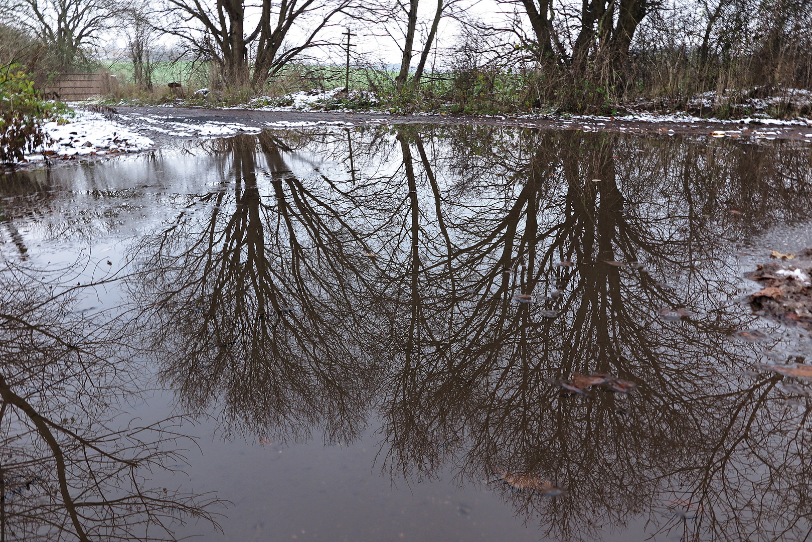 Regenpfütze...manche sind aktuell fast so groß wie kleine Seen