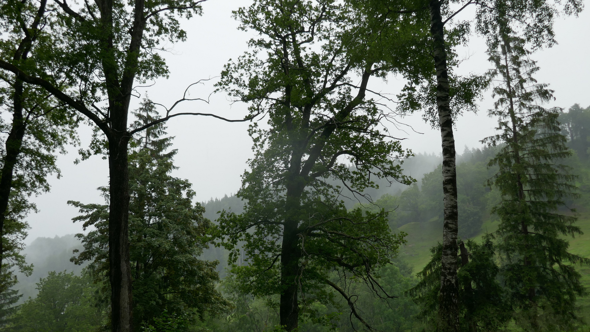 Regenpoesie