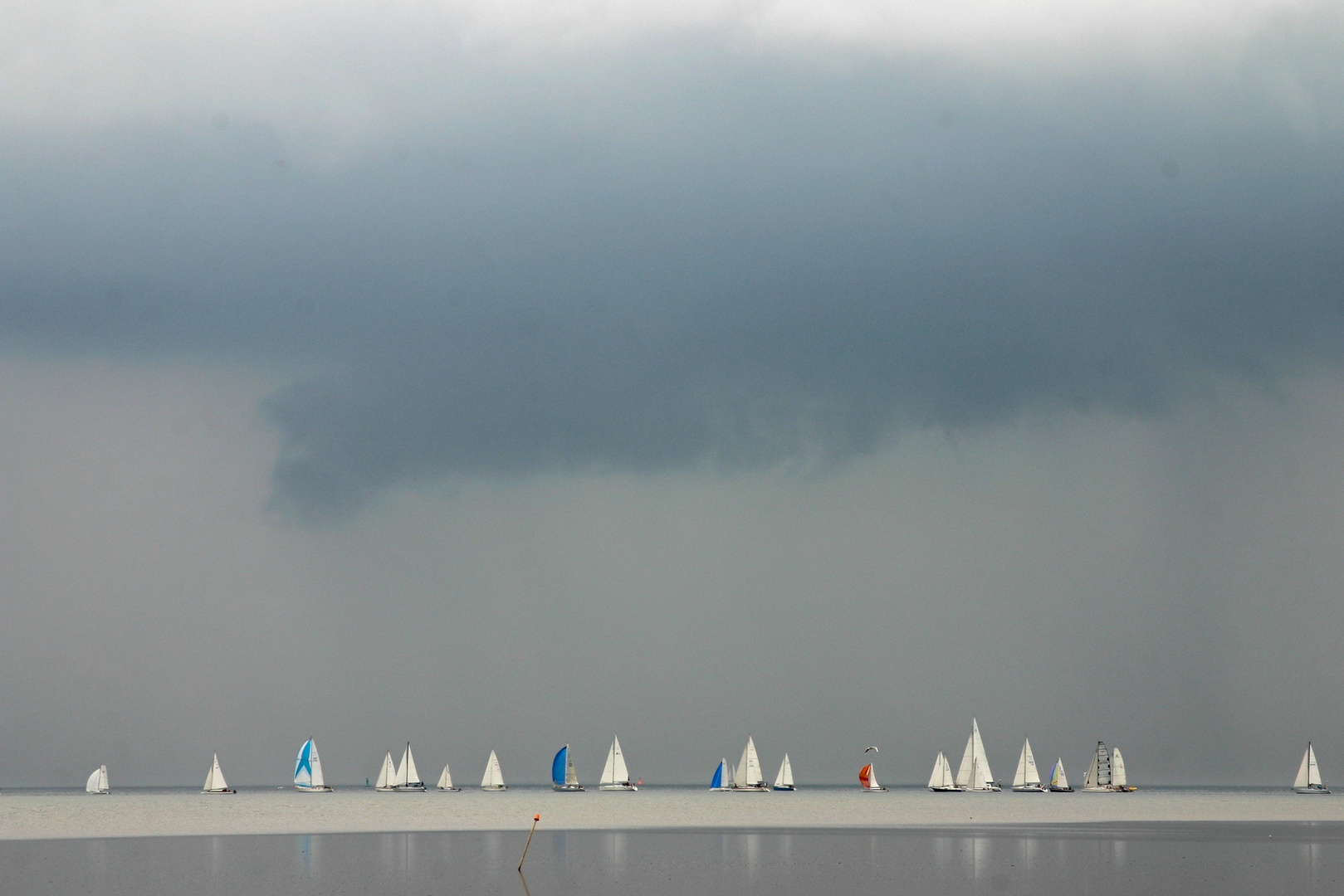 Regenregatta