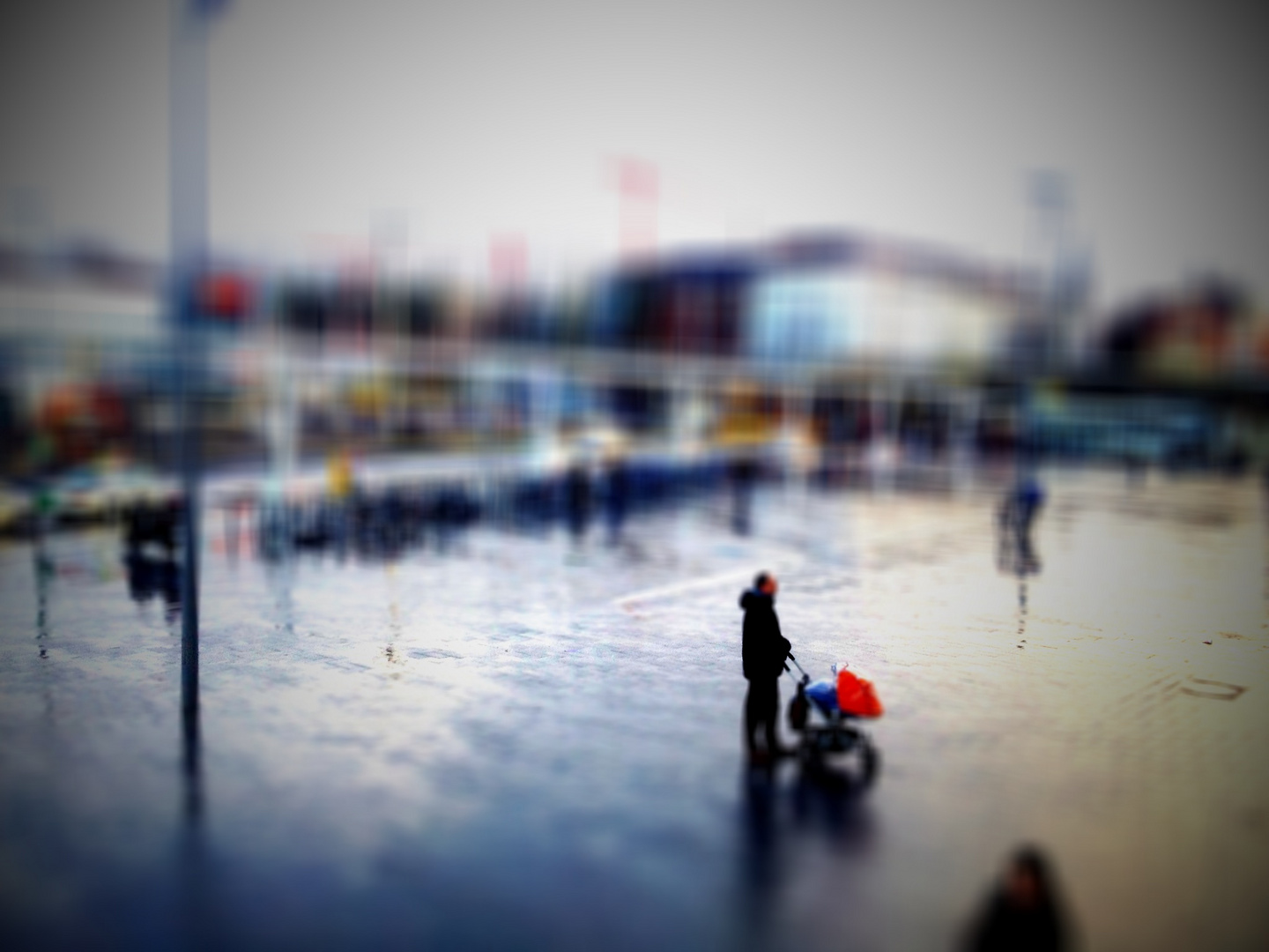 regenreiche januare belieben zu nässen