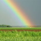 "Regenrolle" im Goldglück