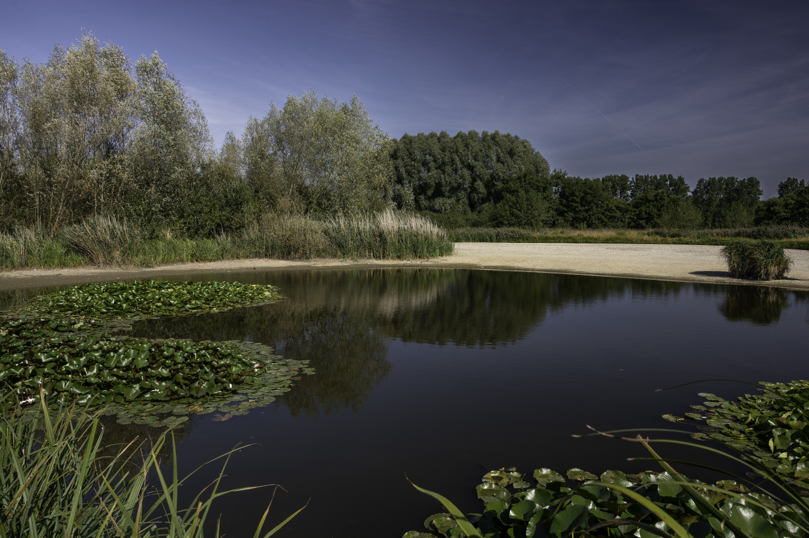 Regenrückhaltebecken bei Lamme