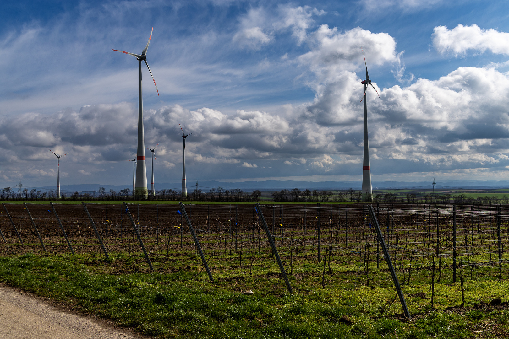 Regenrückseite - II -