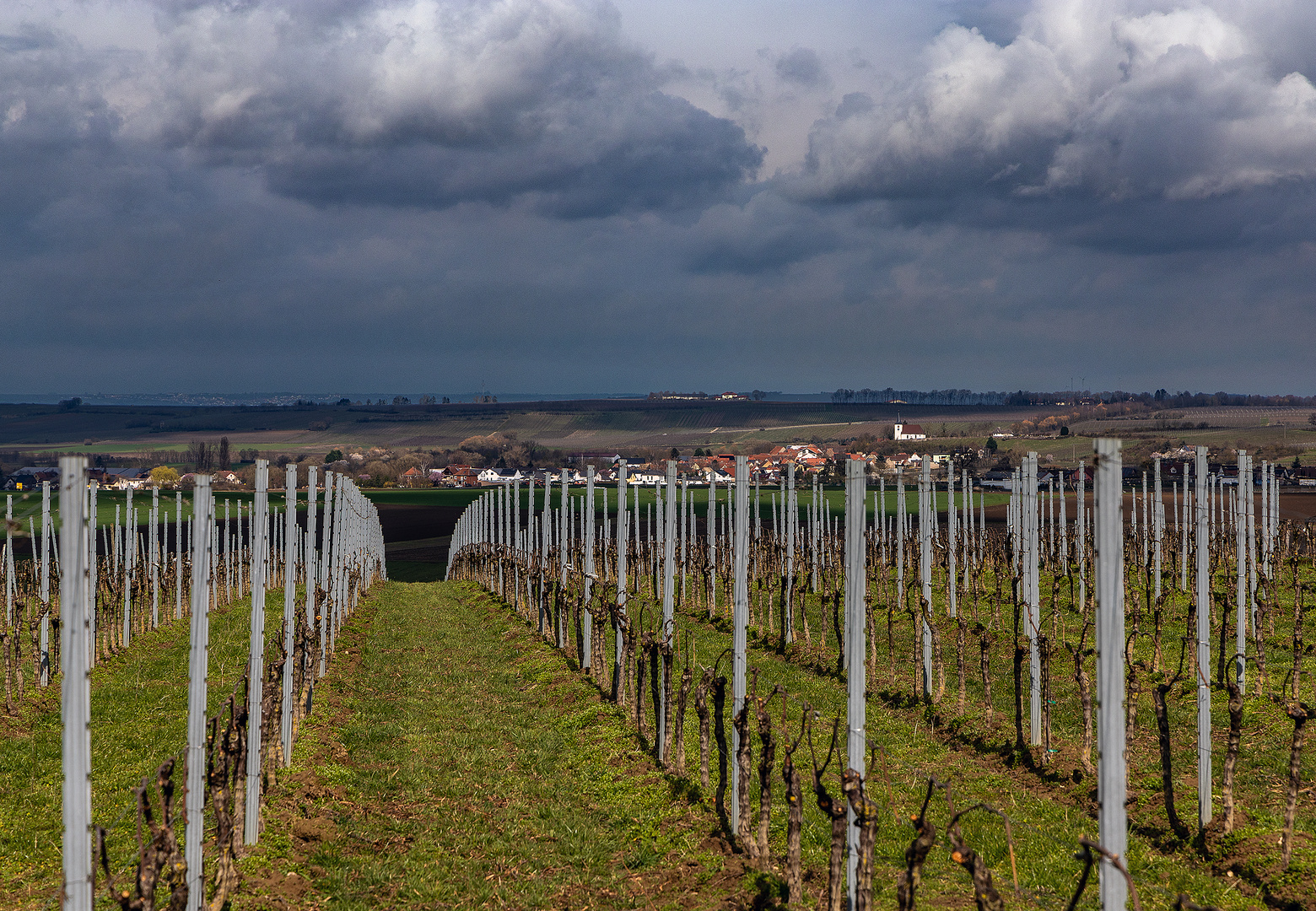 Regenrückseite - III -