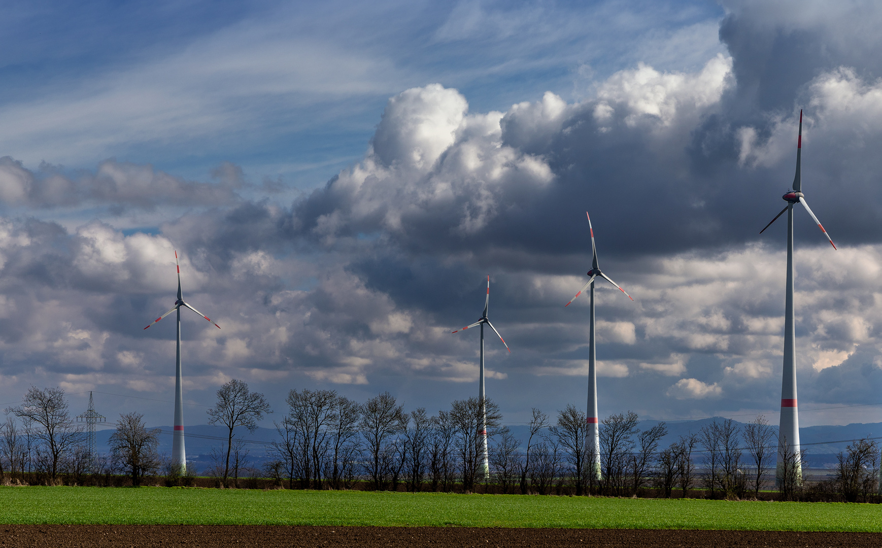 Regenrückseite - IV -