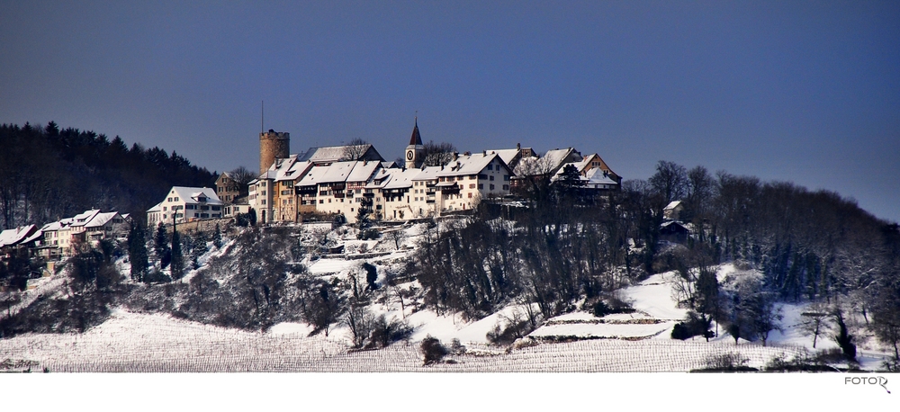 Regensberg im Winter