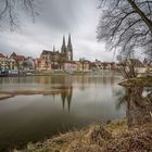 Regensburg [4] - Domblick