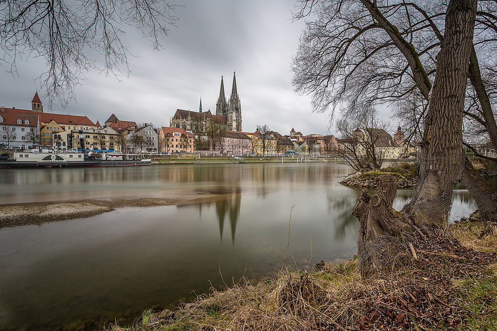 Regensburg [4] - Domblick