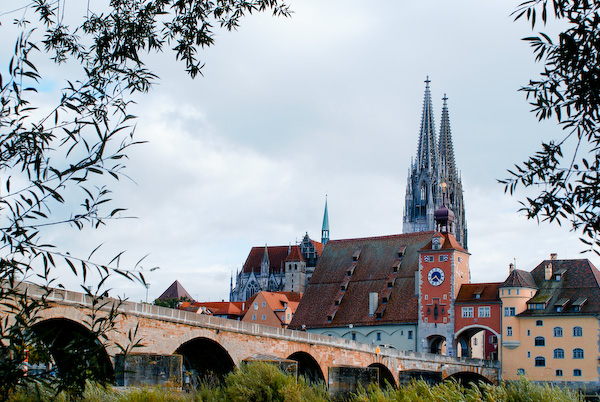 Regensburg aus dem Baum