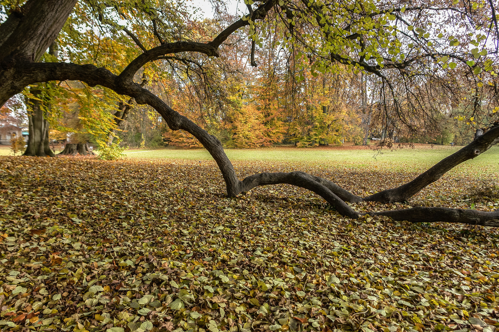 regensburg-dörnbergpark-ableger